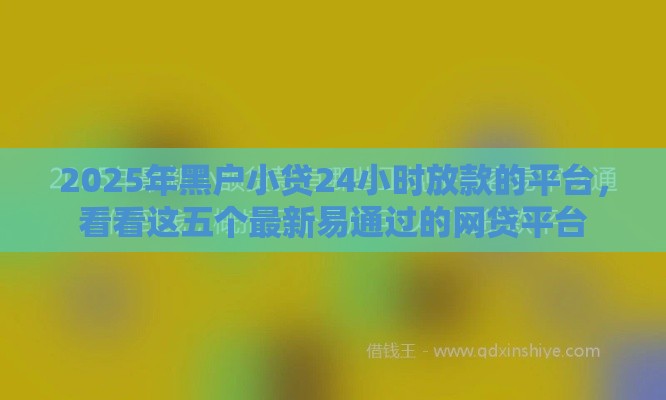 2025年黑户小贷24小时放款的平台，看看这五个最新易通过的网贷平台