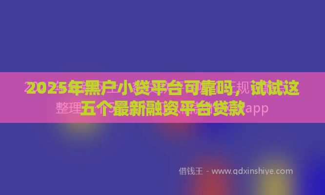 2025年黑户小贷平台可靠吗，试试这五个最新融资平台贷款