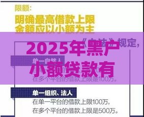 2025年黑户小额贷款有哪些平台可以申请：整合5个2025热门低门槛贷款平台