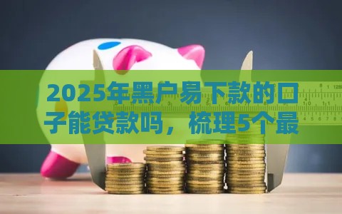 2025年黑户易下款的口子能贷款吗，梳理5个最新有什么可以贷款的平台