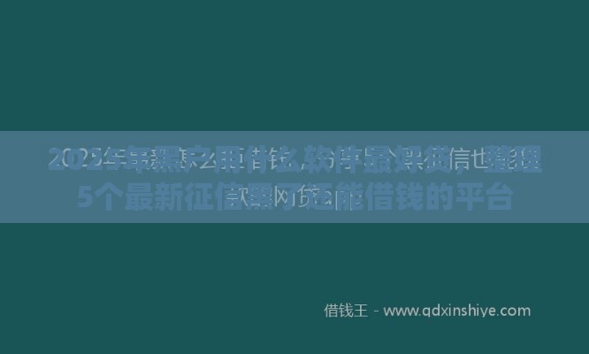 2025年黑户用什么软件最好贷，整理5个最新征信黑了还能借钱的平台