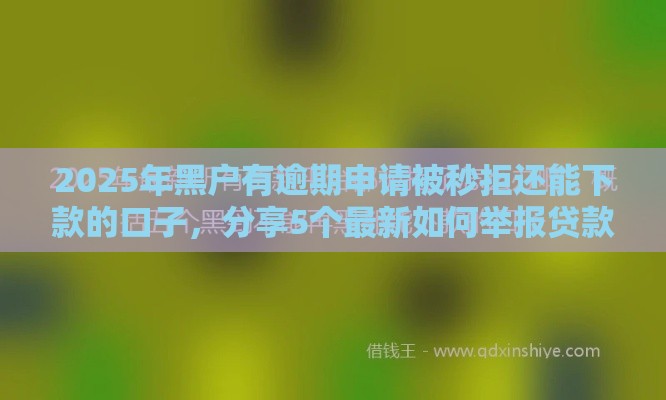 2025年黑户有逾期申请被秒拒还能下款的口子，分享5个最新如何举报贷款平台