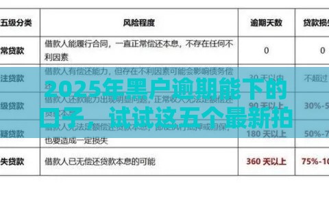 2025年黑户逾期能下的口子，试试这五个最新拍拍贷类似的贷款平台