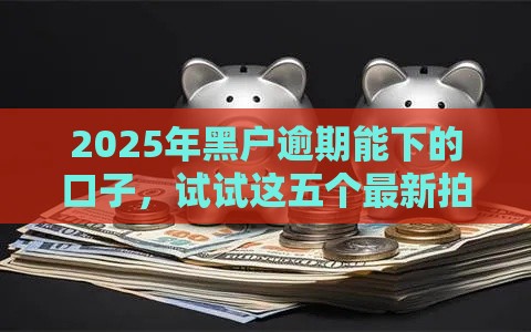 2025年黑户逾期能下的口子，试试这五个最新拍拍贷类似的贷款平台