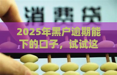 2025年黑户逾期能下的口子，试试这五个最新拍拍贷类似的贷款平台