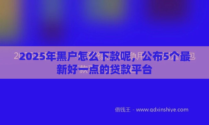 2025年黑户怎么下款呢，公布5个最新好一点的贷款平台