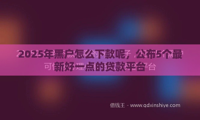 2025年黑户怎么下款呢，公布5个最新好一点的贷款平台