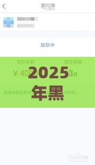 2025年黑户专用借款短期，分享5个最新哪些网贷平台容易贷款