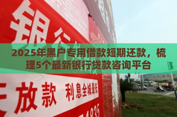 2025年黑户专用借款短期还款，梳理5个最新银行贷款咨询平台