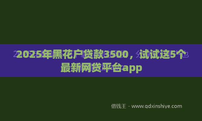 2025年黑花户贷款3500，试试这5个最新网贷平台app