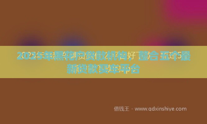2025年黑花户贷款机构，整合五个最新贷款买车平台