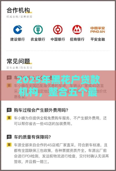 2025年黑花户贷款机构，整合五个最新贷款买车平台