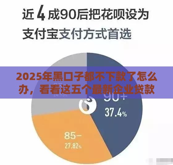 2025年黑口子都不下款了怎么办，看看这五个最新企业贷款平台好