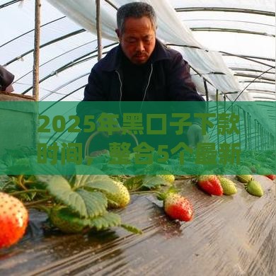 2025年黑口子下款时间，整合5个最新借钱正规平台