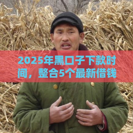 2025年黑口子下款时间，整合5个最新借钱正规平台