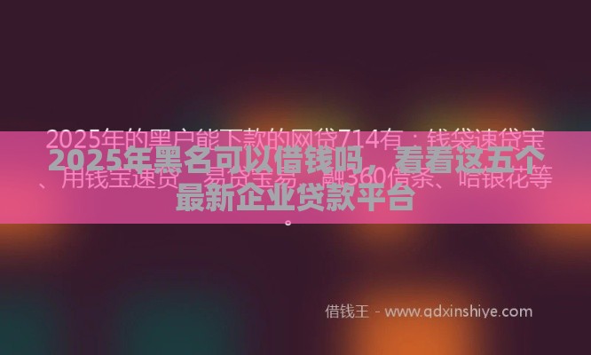 2025年黑名可以借钱吗，看看这五个最新企业贷款平台