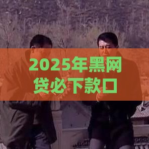 2025年黑网贷必下款口子，梳理五个最新可以快速借钱的平台