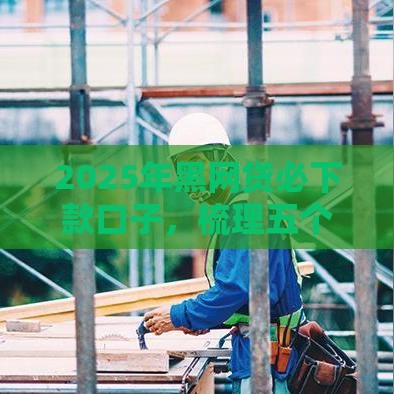 2025年黑网贷必下款口子，梳理五个最新可以快速借钱的平台