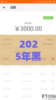 2025年黑网贷不下款用还款吗，试试这5个最新征信花还能下款的平台
