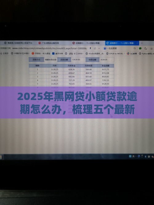 2025年黑网贷小额贷款逾期怎么办，梳理五个最新不看征信的网贷平台