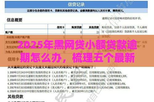 2025年黑网贷小额贷款逾期怎么办，梳理五个最新不看征信的网贷平台