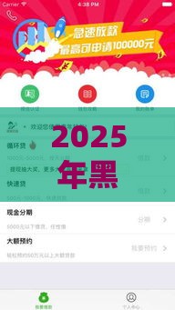 2025年黑征信借款平台，试试这5个最新借款平台适合黑户下款