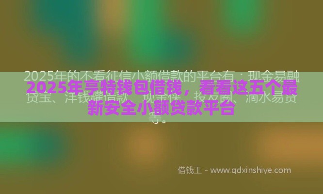 2025年亨特钱包借钱，看看这五个最新安全小额贷款平台
