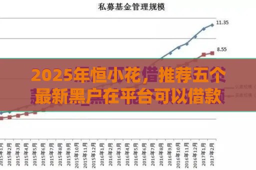 2025年恒小花，推荐五个最新黑户在平台可以借款