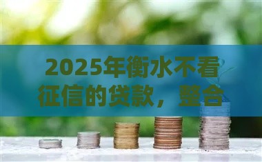 2025年衡水不看征信的贷款，整合五个最新能借到钱的借款平台