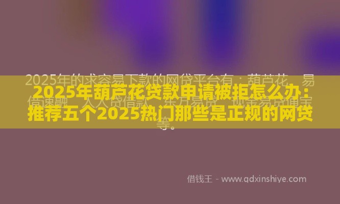 2025年葫芦花贷款申请被拒怎么办：推荐五个2025热门那些是正规的网贷平台
