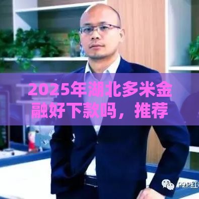 2025年湖北多米金融好下款吗，推荐五个最新黑了还能贷款平台