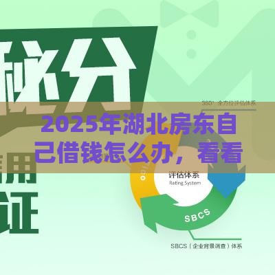 2025年湖北房东自己借钱怎么办，看看这5个最新征信花还能下款的平台