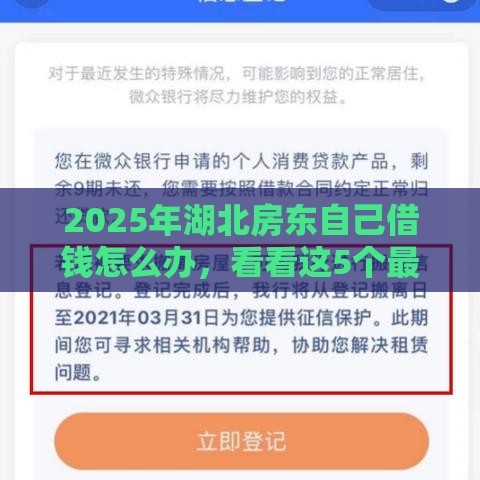 2025年湖北房东自己借钱怎么办，看看这5个最新征信花还能下款的平台