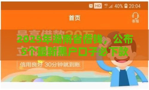 2025年湖南省借钱，公布5个最新黑户口子必下款