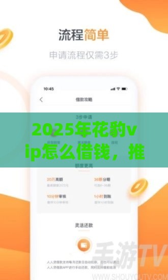 2025年花豹vip怎么借钱，推荐5个最新像橙多分一样的借款平台