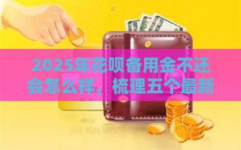 2025年花呗备用金不还会怎么样，梳理五个最新有那些平台可以借钱