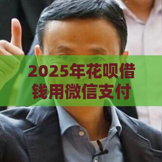 2025年花呗借钱用微信支付的吗，整合5个最新年底还能正常下款的平台
