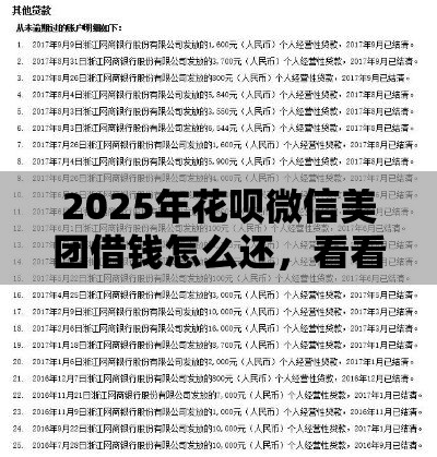 2025年花呗微信美团借钱怎么还，看看这5个最新征信花了小额贷款正规平台