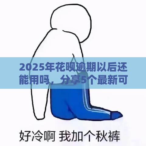 2025年花呗逾期以后还能用吗，分享5个最新可以直接放款到别人的银行卡里面的借钱软件