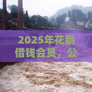 2025年花鹅借钱会员，公布五个最新执行人贷款稳下的口子