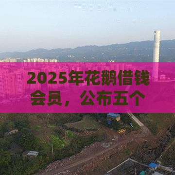 2025年花鹅借钱会员，公布五个最新执行人贷款稳下的口子