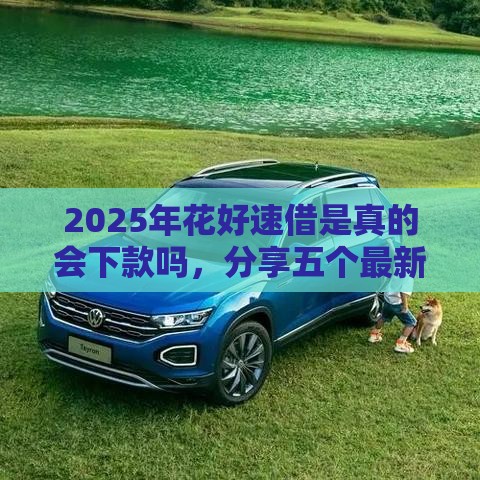 2025年花好速借是真的会下款吗，分享五个最新网贷平台网贷怎么样