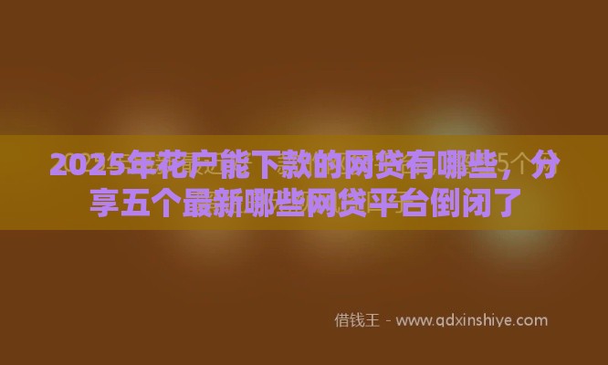 2025年花户能下款的网贷有哪些，分享五个最新哪些网贷平台倒闭了