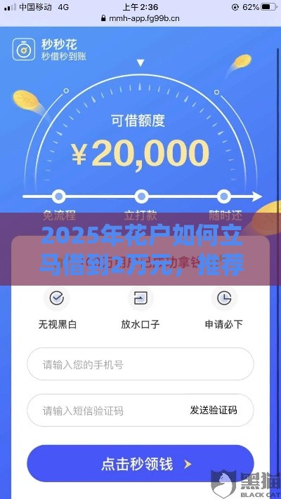 2025年花户如何立马借到2万元，推荐5个最新平台借钱安全