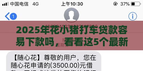 2025年花小猪打车贷款容易下款吗，看看这5个最新18岁黑户贷款平台