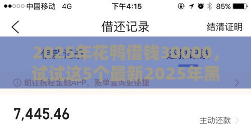 2025年花鸭借钱30000，试试这5个最新2025年黑户借款必下口子