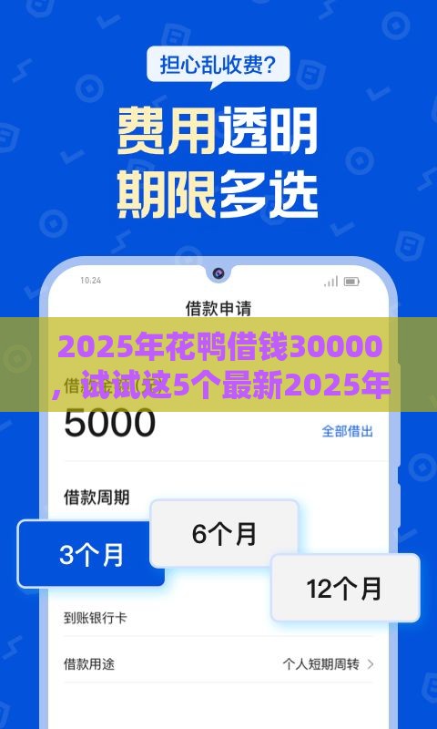 2025年花鸭借钱30000，试试这5个最新2025年黑户借款必下口子
