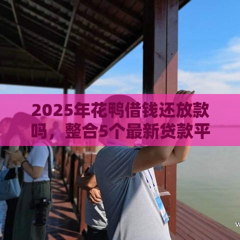 2025年花鸭借钱还放款吗，整合5个最新贷款平台好利息低