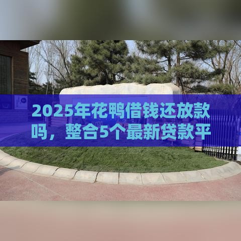2025年花鸭借钱还放款吗，整合5个最新贷款平台好利息低