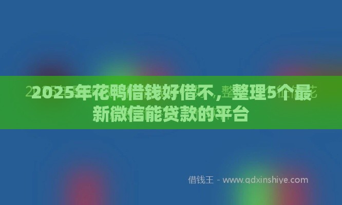2025年花鸭借钱好借不，整理5个最新微信能贷款的平台
